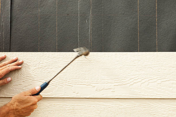 Best Siding Painting and Refinishing  in Bellview, FL